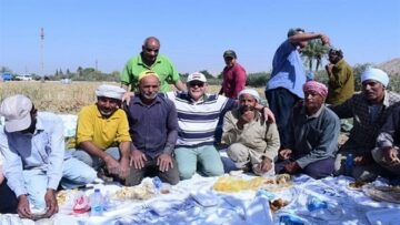 جامعة سوهاج تُسهم في تعزيز الأمن الغذائي: حصاد القمح وتطوير المزارع