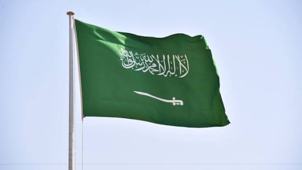 السعودية تعزز نفوذها في جنوب أفريقيا باستثمارات بمليارات الدولارات