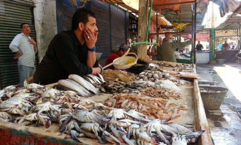 سعر الأسماك اليوم 23-5-2025