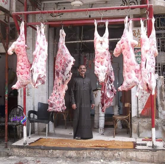 خراف حية بأسعار مخفضة في 1000 شادر تمويني استعدادًا لعيد الأضحى