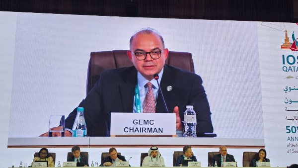الرقابة المالية: عام 2025 نقطة محورية في مسيرة دعم الأسواق الناشئة